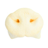 Puffy Pig Snouts